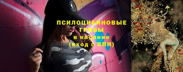 бошки Алзамай